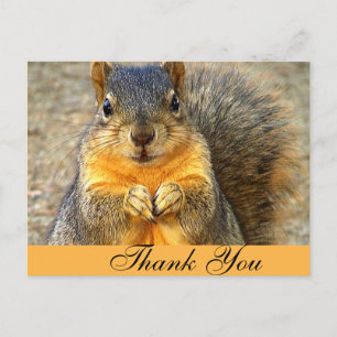 Squirrel Love_ Postcard