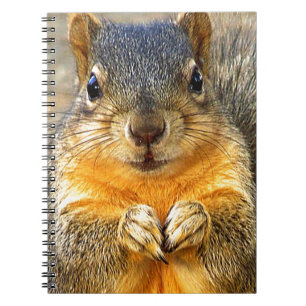 Squirrel Love_ Spiral Notebook