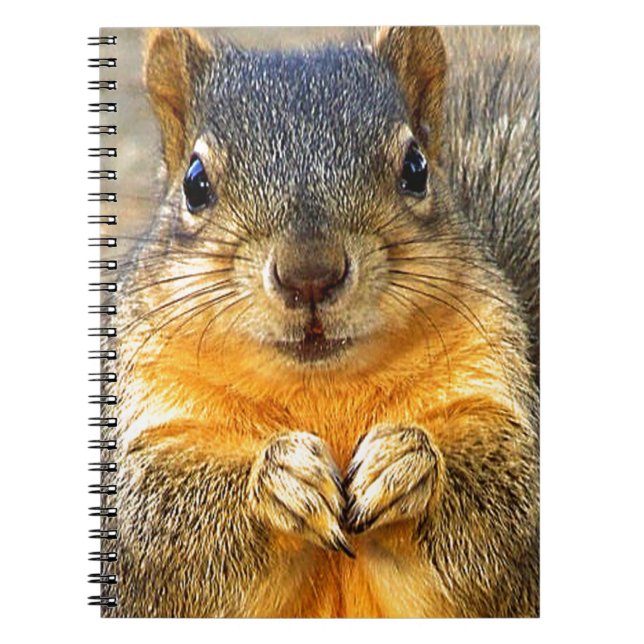 Squirrel Love_ Spiral Notebook (Front)
