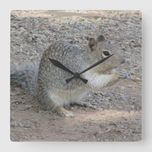 Squirrel Lover Photo Adorable Grey Forest Animal Square Wall Clock