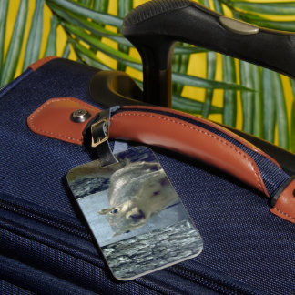 Squirrel luggage tag