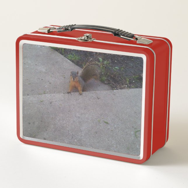 Squirrel Lunch Box (Front)