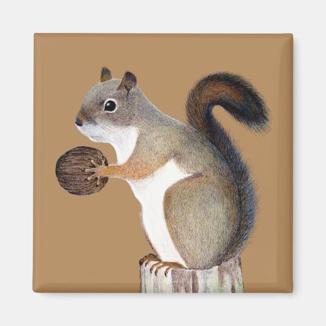 Squirrel Magnet (Front)