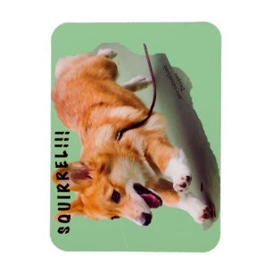 Squirrel!!! Magnet