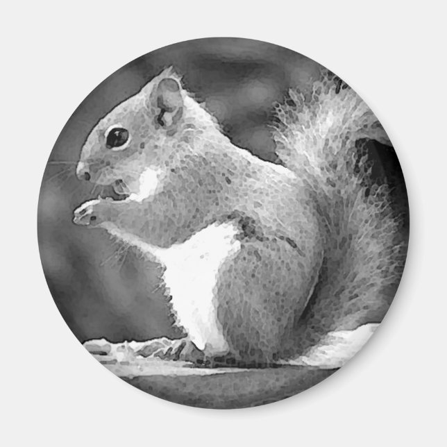 Squirrel Magnet (Front)