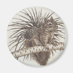 Squirrel Magnet - Scoiattolo calamita