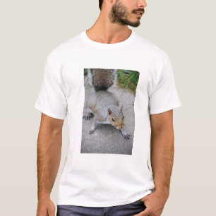 Squirrel Men's Shirt