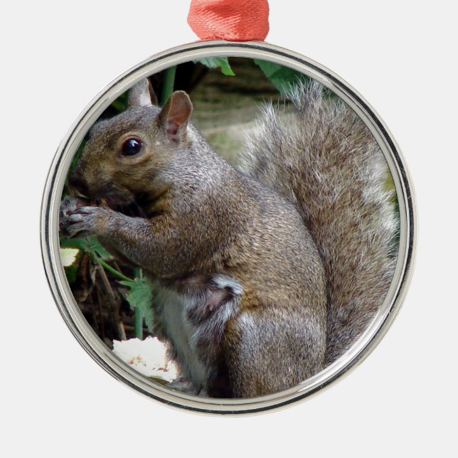 Squirrel Metal Tree Decoration (Front)