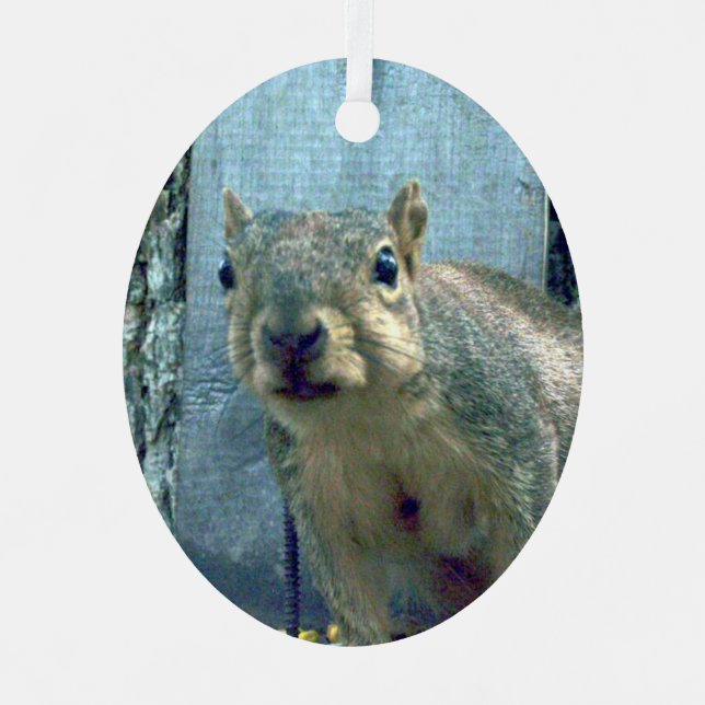 Squirrel Metal Tree Decoration (Front)