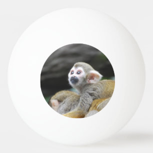 squirrel-monkey-39.jpg ping pong ball