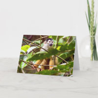 Squirrel Monkey Greeting Card