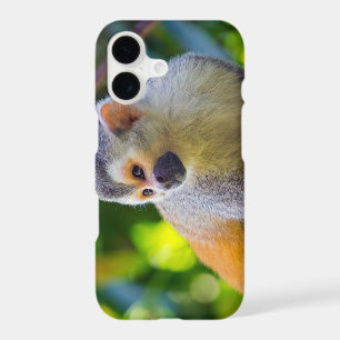 Squirrel monkey in Manuel Antonio NP - Costa Rica