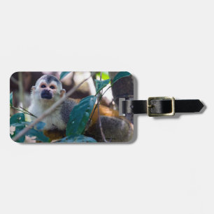 Squirrel monkey in Manuel Antonio NP - Costa Rica Luggage Tag