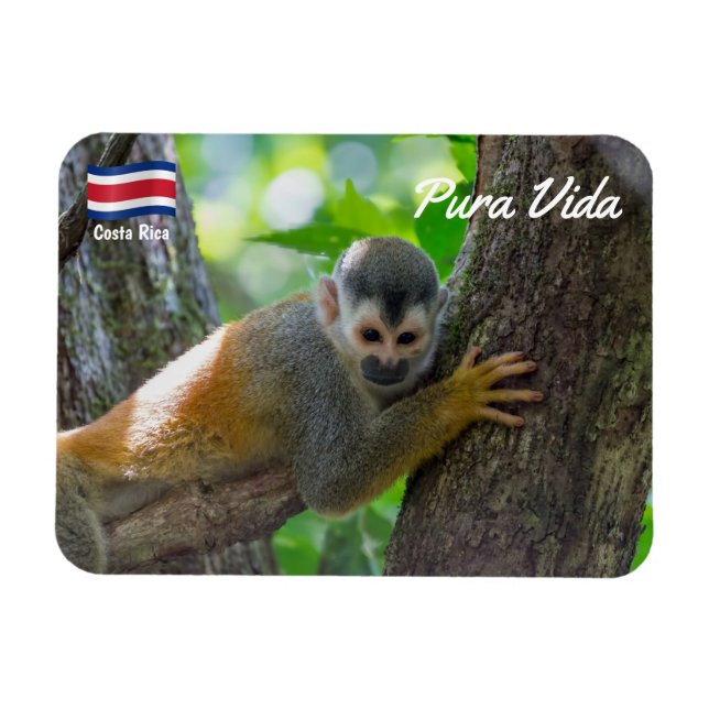 Squirrel monkey in Manuel Antonio NP - Costa Rica Magnet (Horizontal)