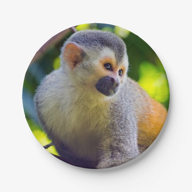 Squirrel monkey in Manuel Antonio NP - Costa Rica Paper Plate (Front)