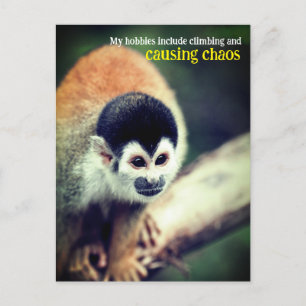 Squirrel monkey in tree postcard