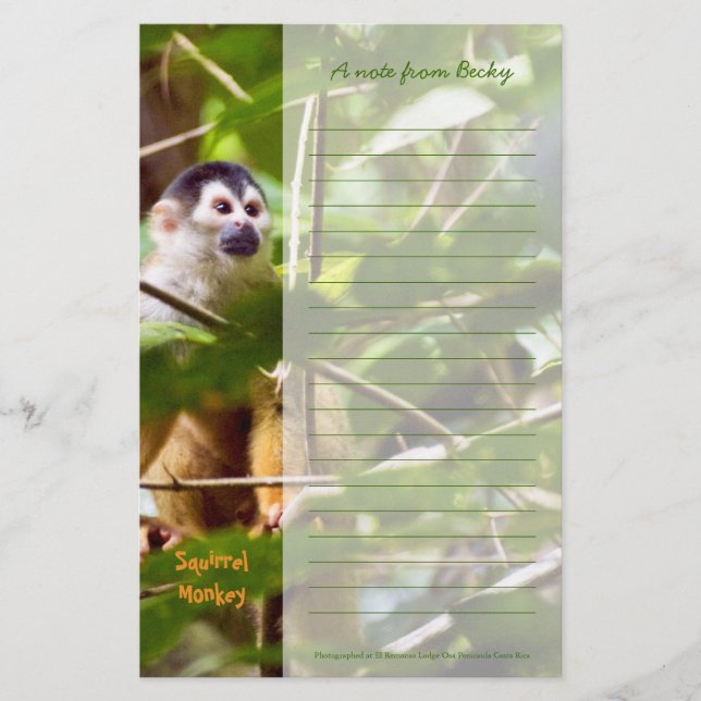 Squirrel Monkey Stationery (Front)