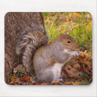 Squirrel Mosue Pad Mouse Pad