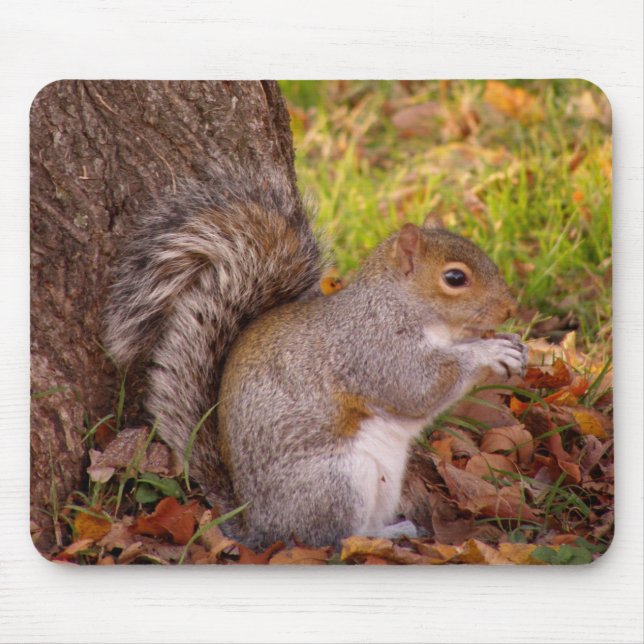Squirrel Mosue Pad Mouse Pad (Front)