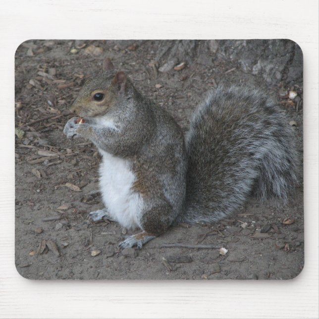 Squirrel Mouse Pad (Front)