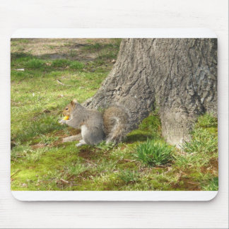 squirrel Mouse Pad
