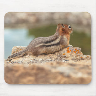 Squirrel Mouse Pad