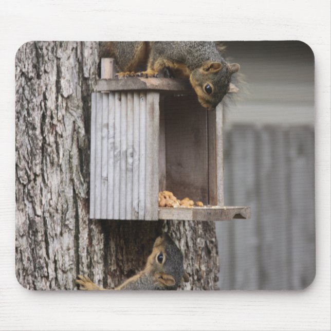 Squirrel Mouse Pad (Front)