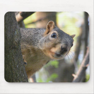 Squirrel mouse pad