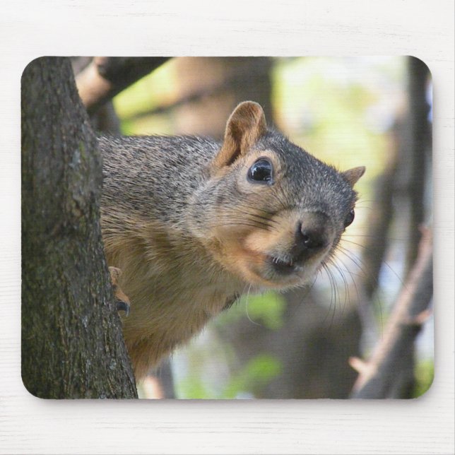 Squirrel mouse pad (Front)