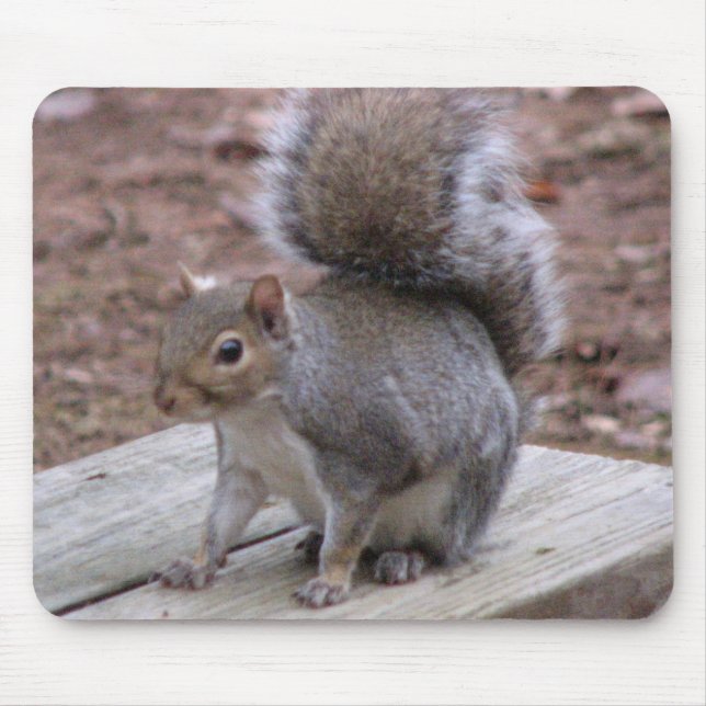 Squirrel Mouse pad (Front)
