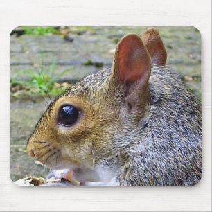 squirrel mouse pad