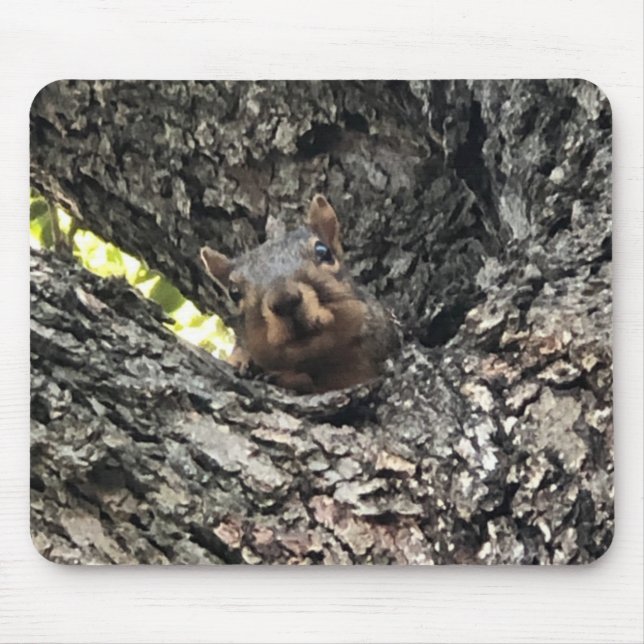 Squirrel Mouse Pad (Front)