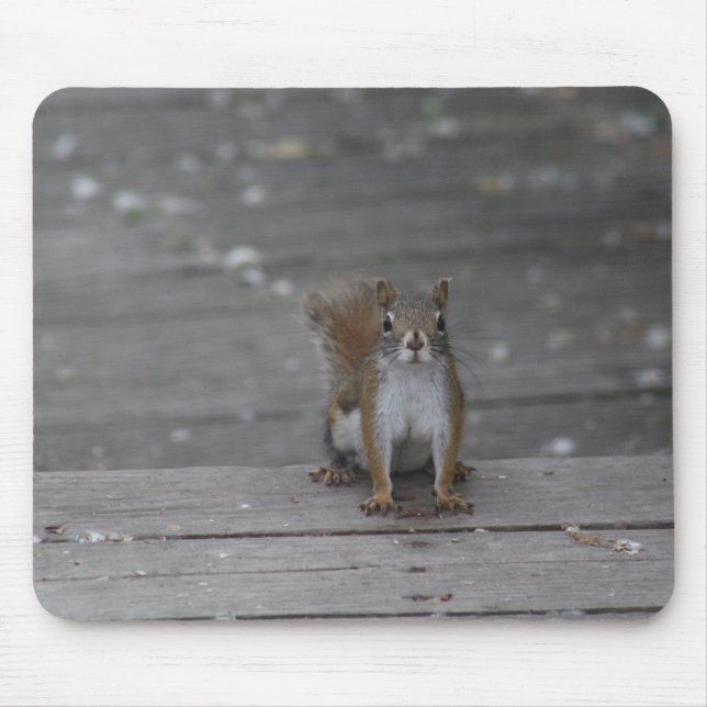 Squirrel mouse pad (Front)