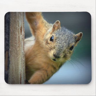 Squirrel Mousepad