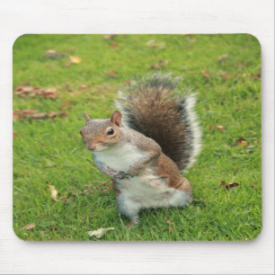 Squirrel Mousepad