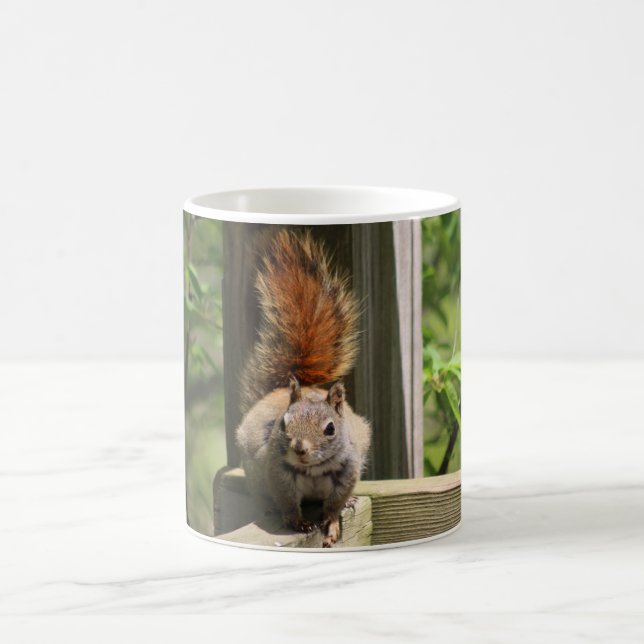 Squirrel mug (Center)
