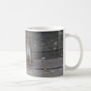 Squirrel mug