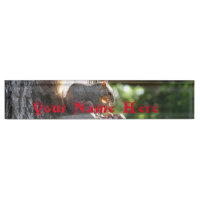 Squirrel Name Plate