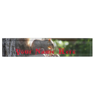 Squirrel Name Plate