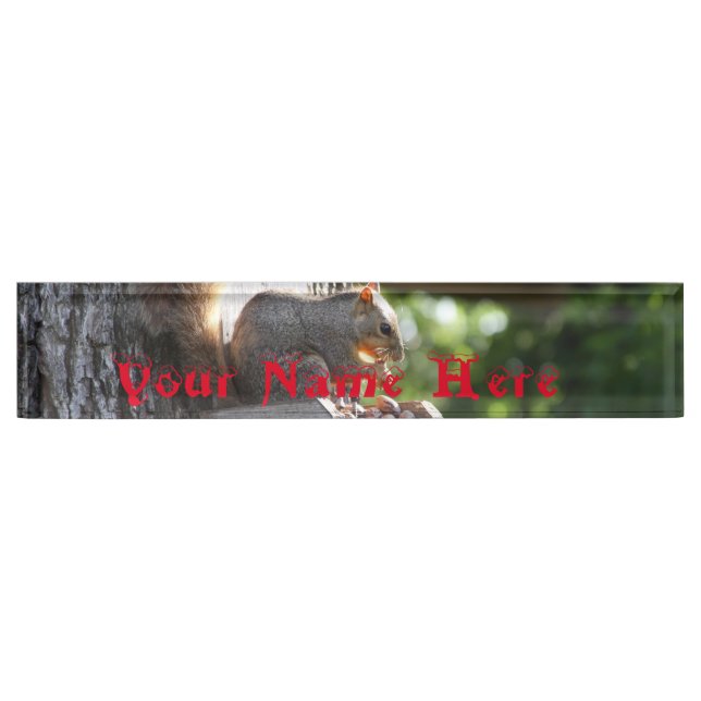 Squirrel Name Plate (Front)