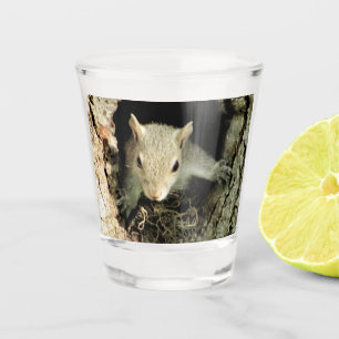 Squirrel Nest Shot Glass
