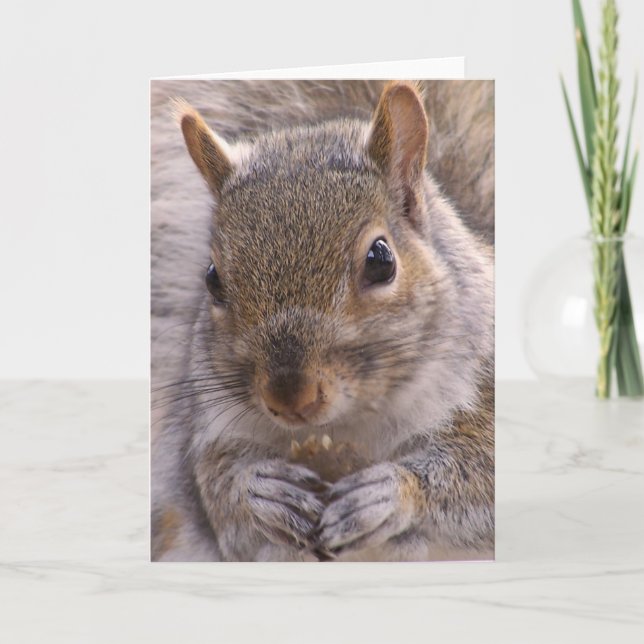 Squirrel note card (Front)