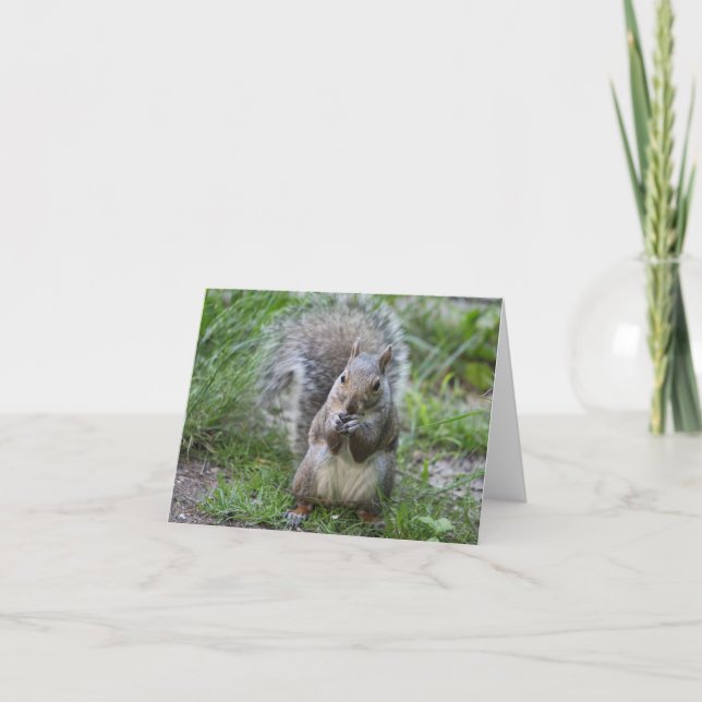 Squirrel Note Card (Front)