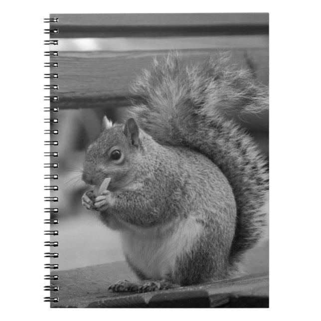 Squirrel Notebook (Front)