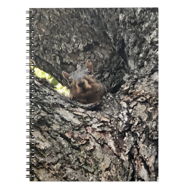Squirrel Notebook (Front)