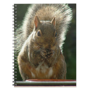Squirrel Notebook