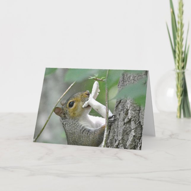 Squirrel Notecard (Front)