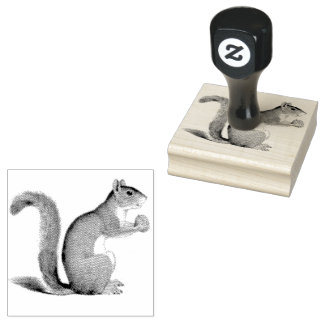 Squirrel Nut Vintage Ilustration  Rubber Stamp