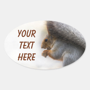 Squirrel on a bench and some nuts oval sticker