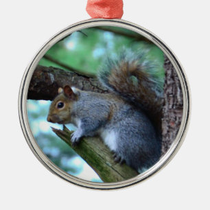 Squirrel on a branch metal tree decoration